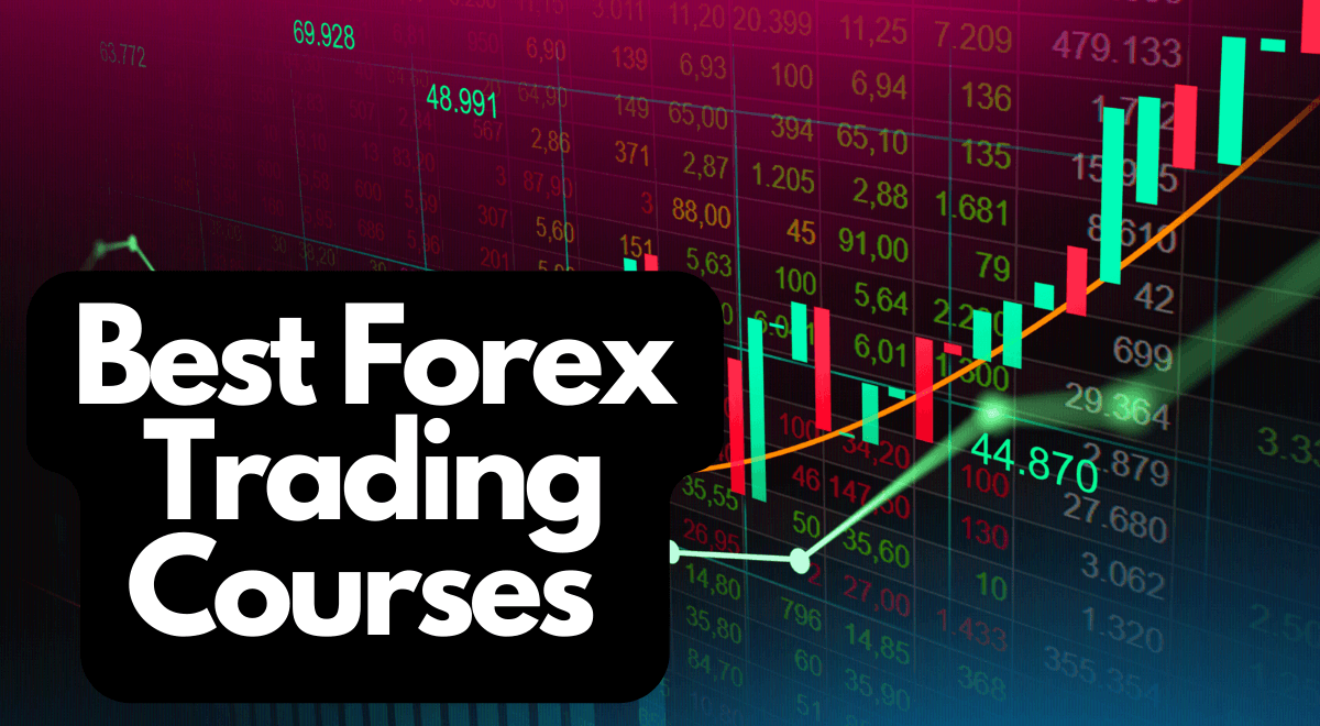 How to Join Penan Digital Forex Training